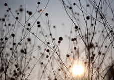 Doppelkarte Ein neuer Tag