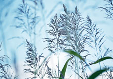 Doppelkarte Verbundenheit