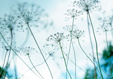 Doppelkarte Geheimnisvoll