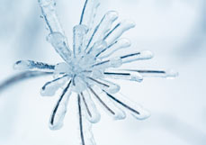 Doppelkarte Eisstern