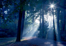 Doppelkarte Lichtstrahl