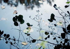 Doppelkarte Erlenbruch