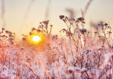 Doppelkarte Orangeroter Winterabend