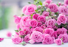 Doppelkarte Rosentraum