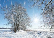 Doppelkarte Ein perfekter Wintertag