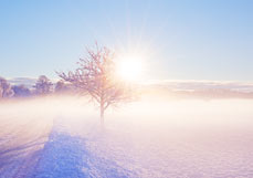 Doppelkarte Frostige Nebelsonne