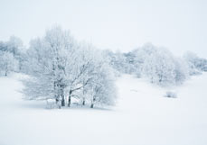 Doppelkarte Erhabene Stille