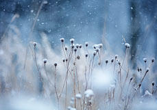 Doppelkarte Leise rieselt der Schnee
