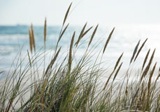 Doppelkarte Morgens am Meer