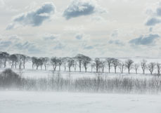 Doppelkarte Nach dem Schneesturm
