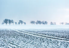 Doppelkarte Winter am Feldrand II