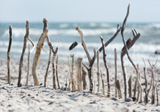 Doppelkarte Strandkunst I