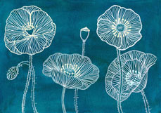 Doppelkarte Mohnblüten