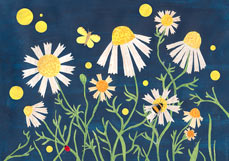 Doppelkarte Kamille auf der Wiese