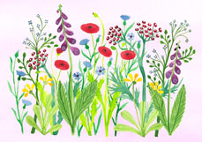 Doppelkarte Blumenwiese