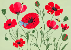 Doppelkarte Herrlicher Klatschmohn