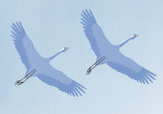 Doppelkarte Kraniche