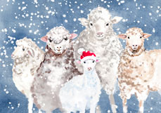 Doppelkarte Winter bei den Schafen