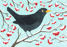 Doppelkarte Winteramsel