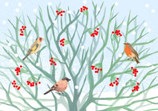 Doppelkarte Wintergäste im Beerenstrauch