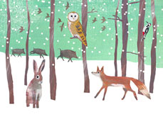 Doppelkarte Tiere im Winterwald