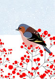 Doppelkarte Buchfink im Schnee