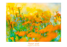 Kalender Natur 2026