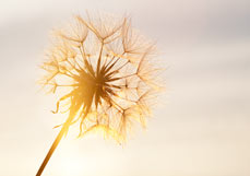 Midi-Doppelkarte Im Abendlicht