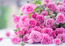 Midi-Doppelkarte Rosentraum