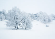 Midi-Doppelkarte Erhabene Stille