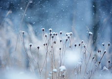 Midi-Doppelkarte Leise rieselt der Schnee