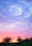Postkarte (VORORDER) Der Himmel atmet Abendlicht