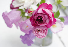 Postkarte Gartensträußchen