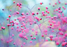 Postkarte Spätsommerfreude