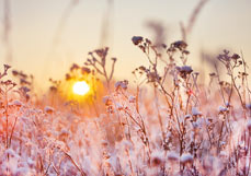 Postkarte Orangeroter Winterabend