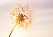 Postkarte Im Abendlicht
