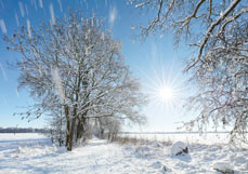 Postkarte Ein perfekter Wintertag