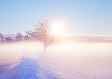 Postkarte Frostige Nebelsonne
