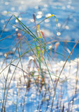 Postkarte Gefrorenes Flussglitzern