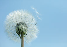 Postkarte Kleine Flieger