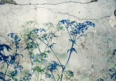 Postkarte An der alten Mauer