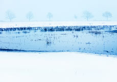 Postkarte Boddenwiesen im Winter