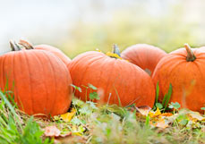 Postkarte Kürbisfreuden