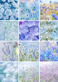 Postkarte Sommer - blau-violett