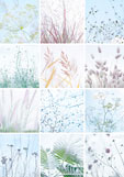 Postkarte (VORORDER) Florale Meditation