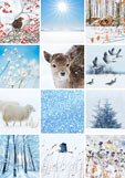 Postkarte (VORORDER) Winter II