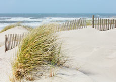 Postkarte Sandfänger