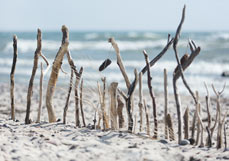 Postkarte Strandkunst I