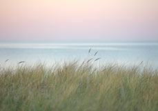 Postkarte Abendlicher Dünenblick