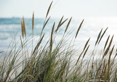 Postkarte Morgens am Meer